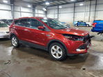 Ford Escape 2016