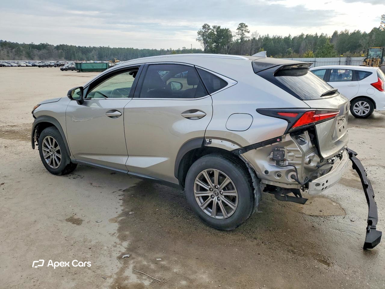 Lexus NX 2019