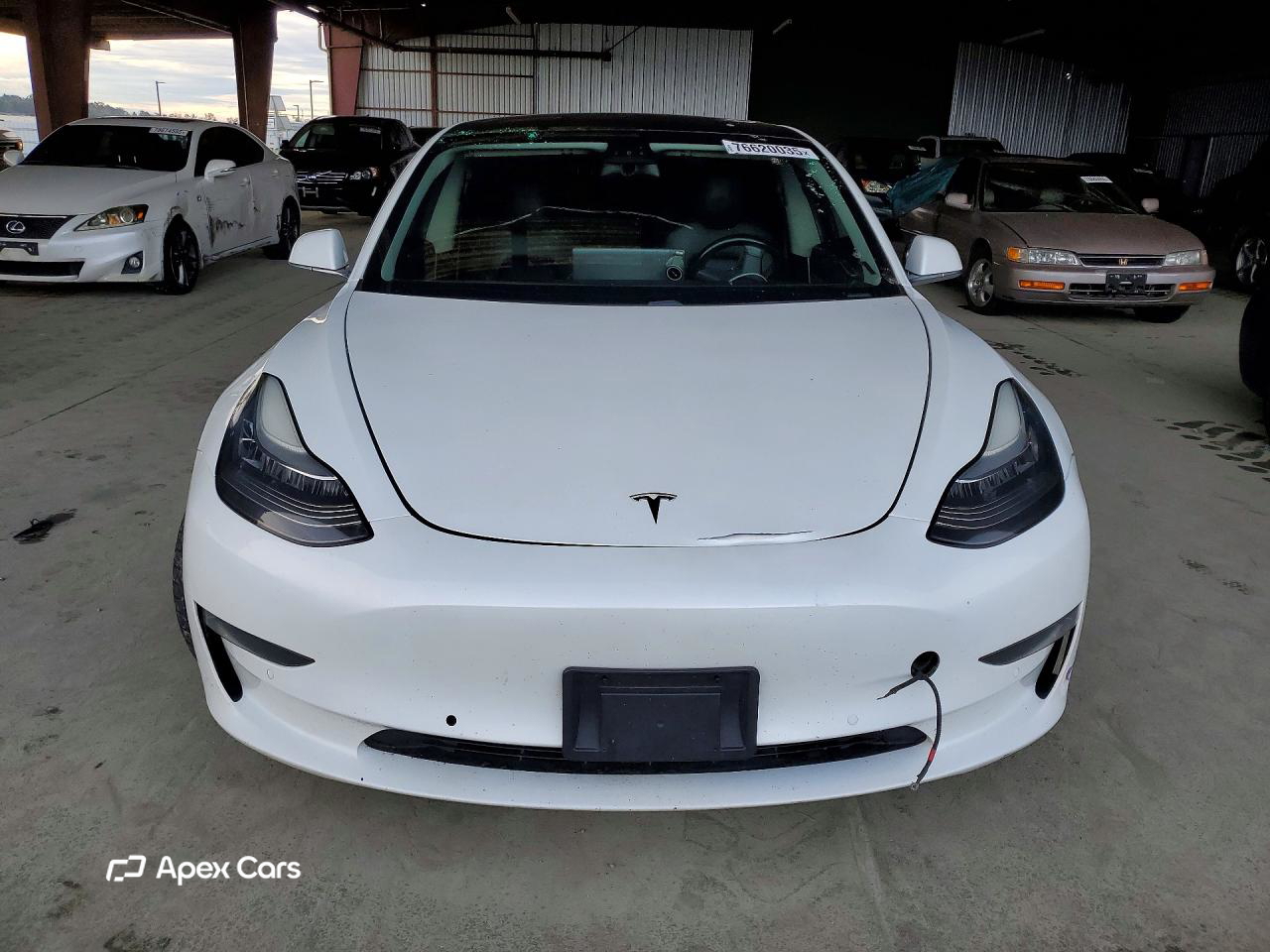Tesla Model 3 2019