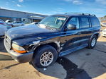 Dodge Durango 2002