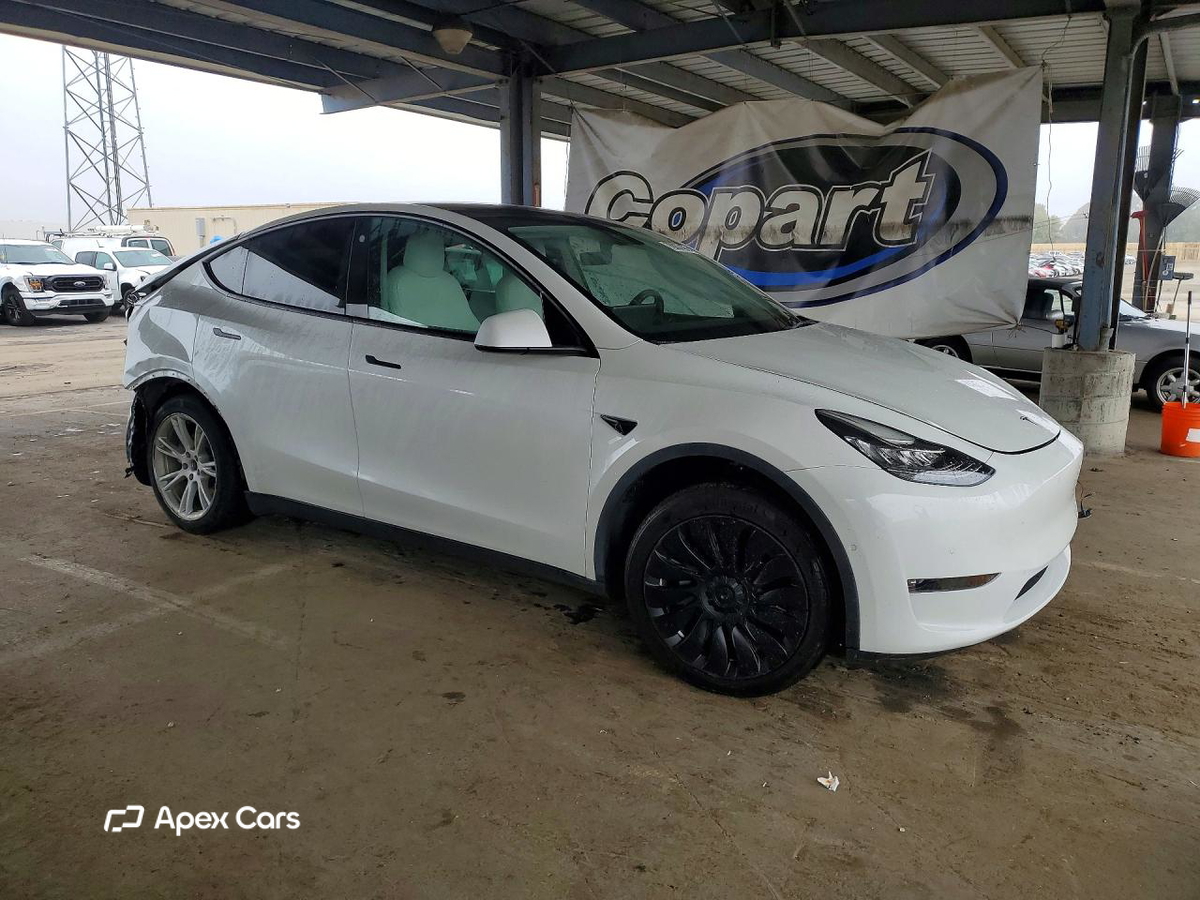 Tesla Model Y 2021