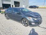Volt 2013