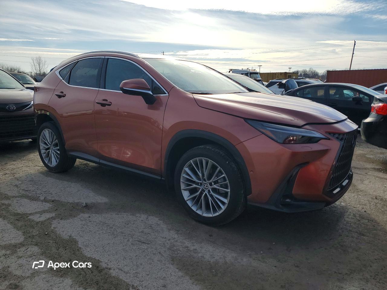 Lexus NX 2025