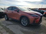 Lexus NX 2025