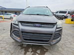 Ford Escape 2013