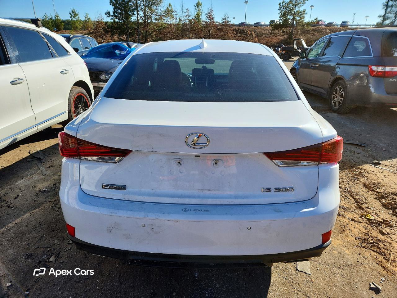 Lexus IS 2019