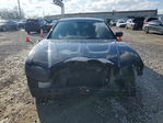 Dodge Charger 2013