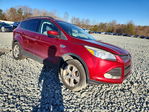 Ford Escape 2013