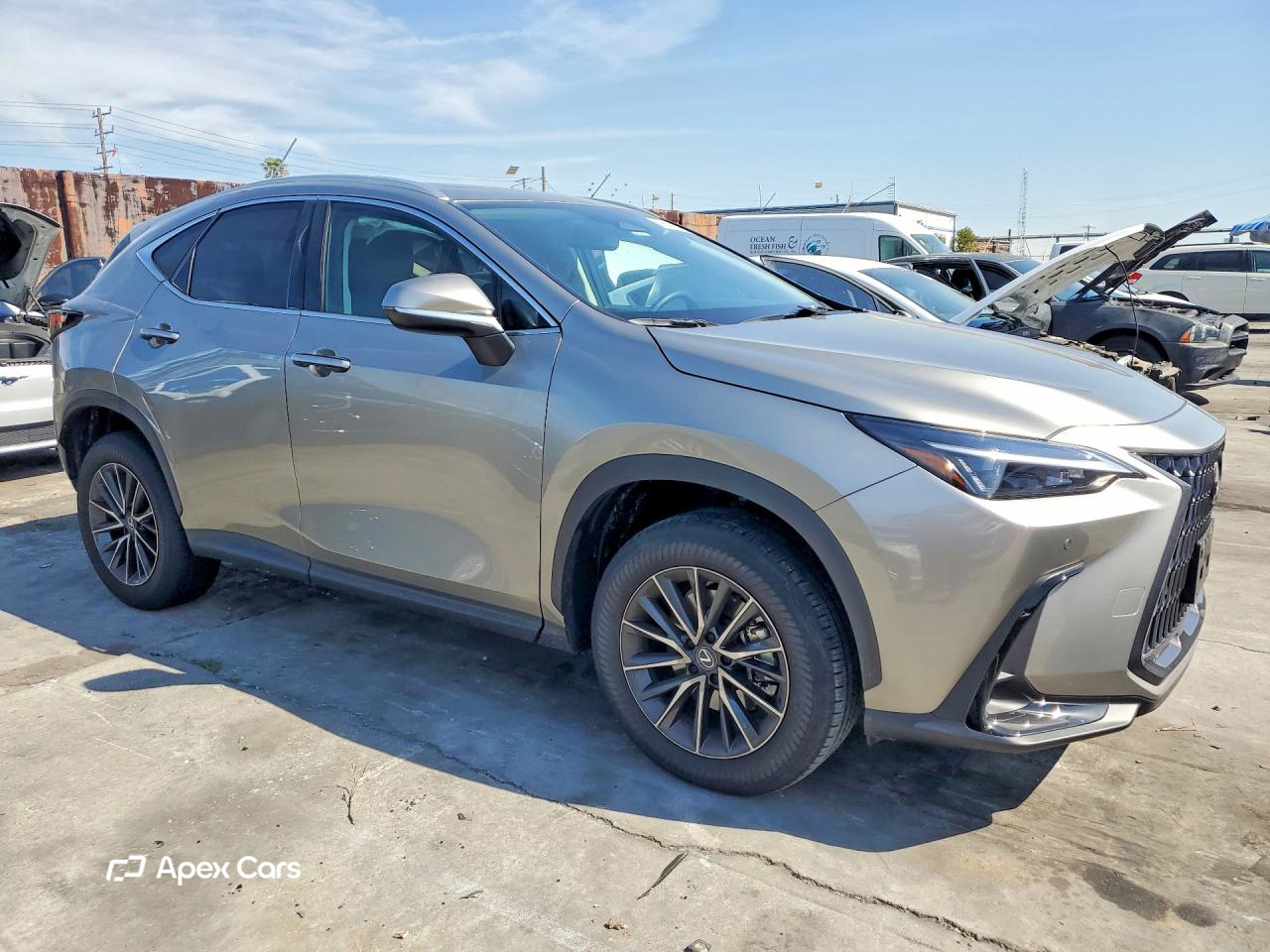 Lexus NX 2025