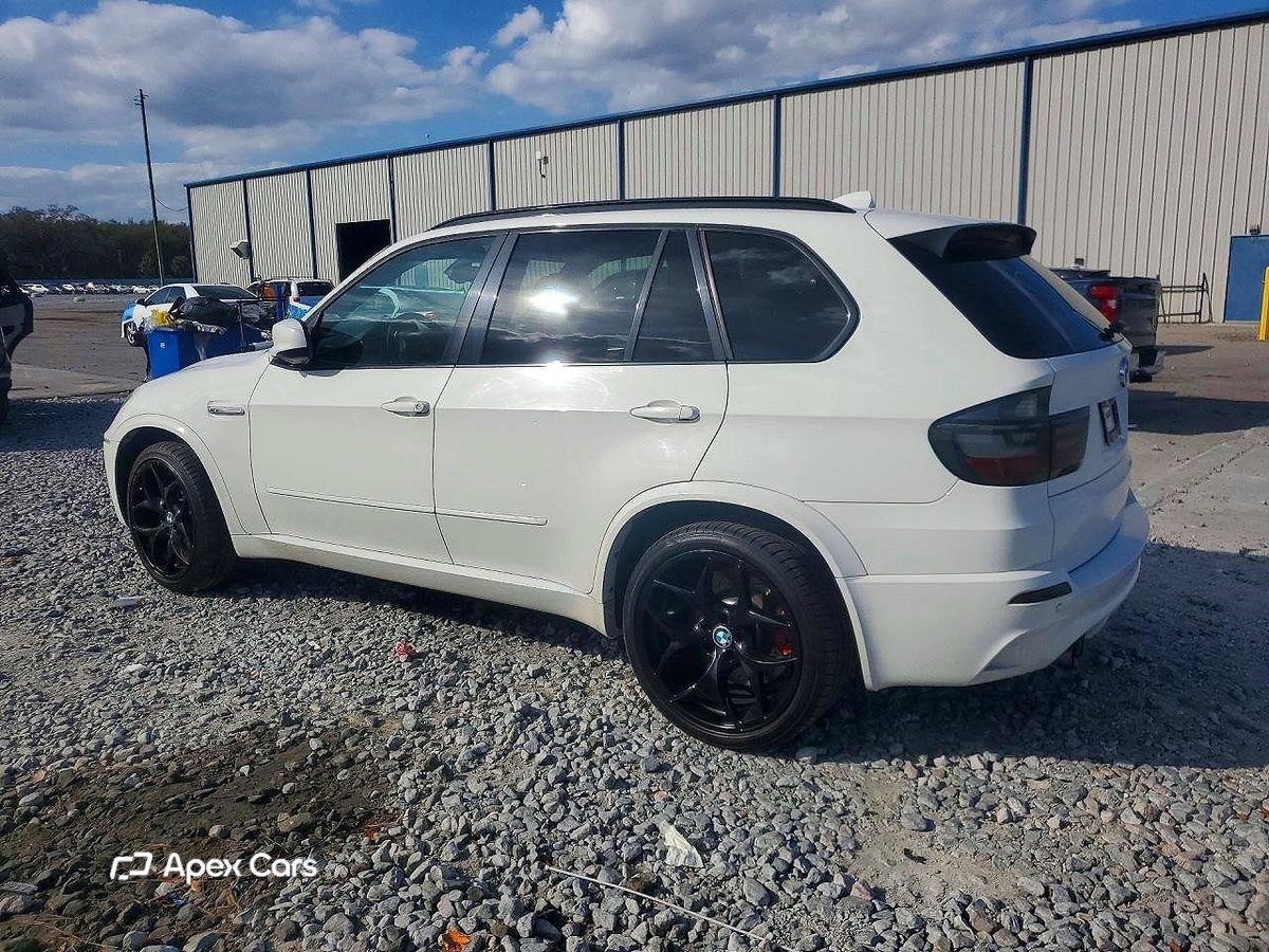 BMW X5 2010