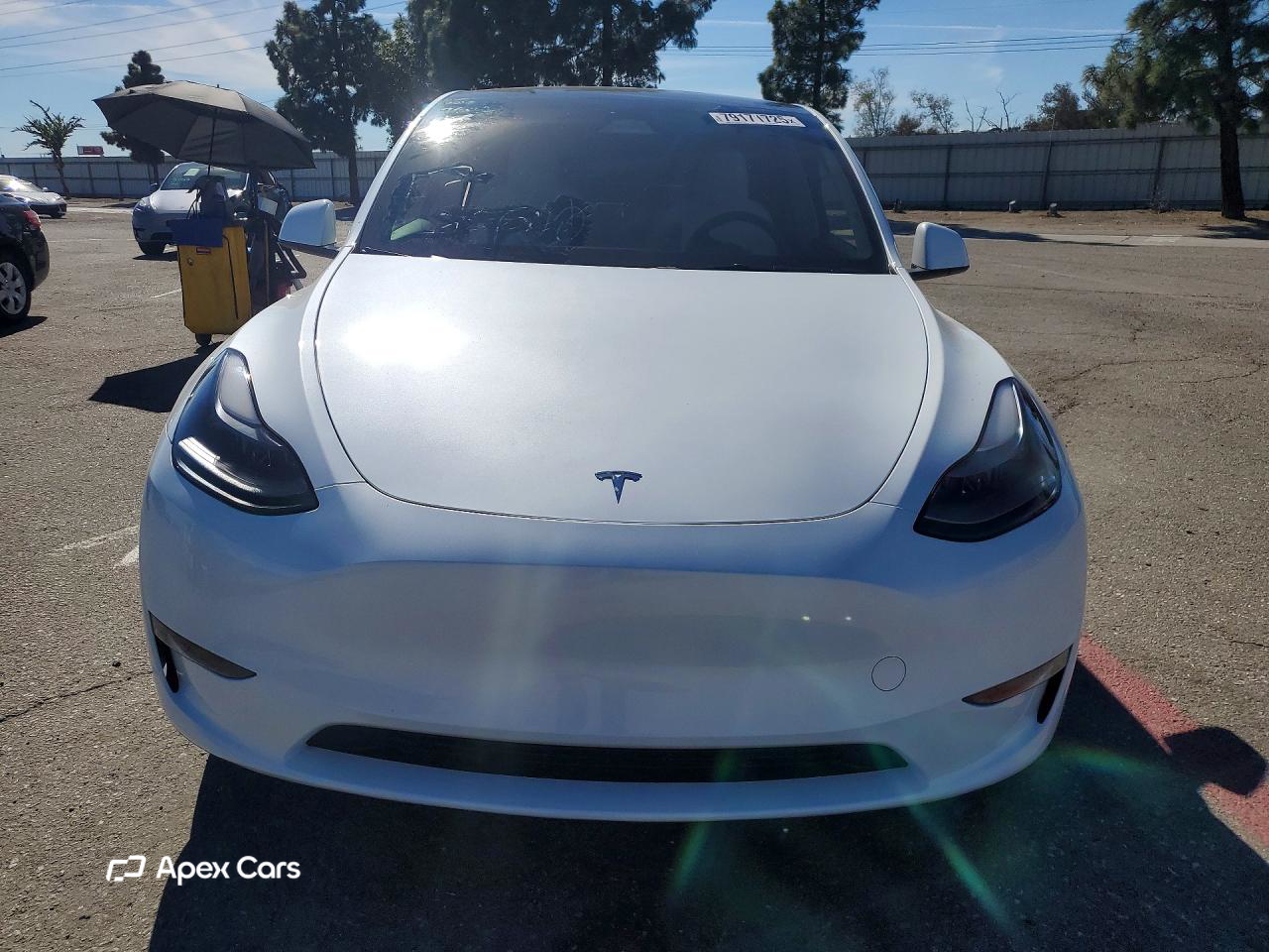 Tesla Model Y 2024