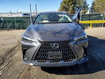 Lexus NX 2025