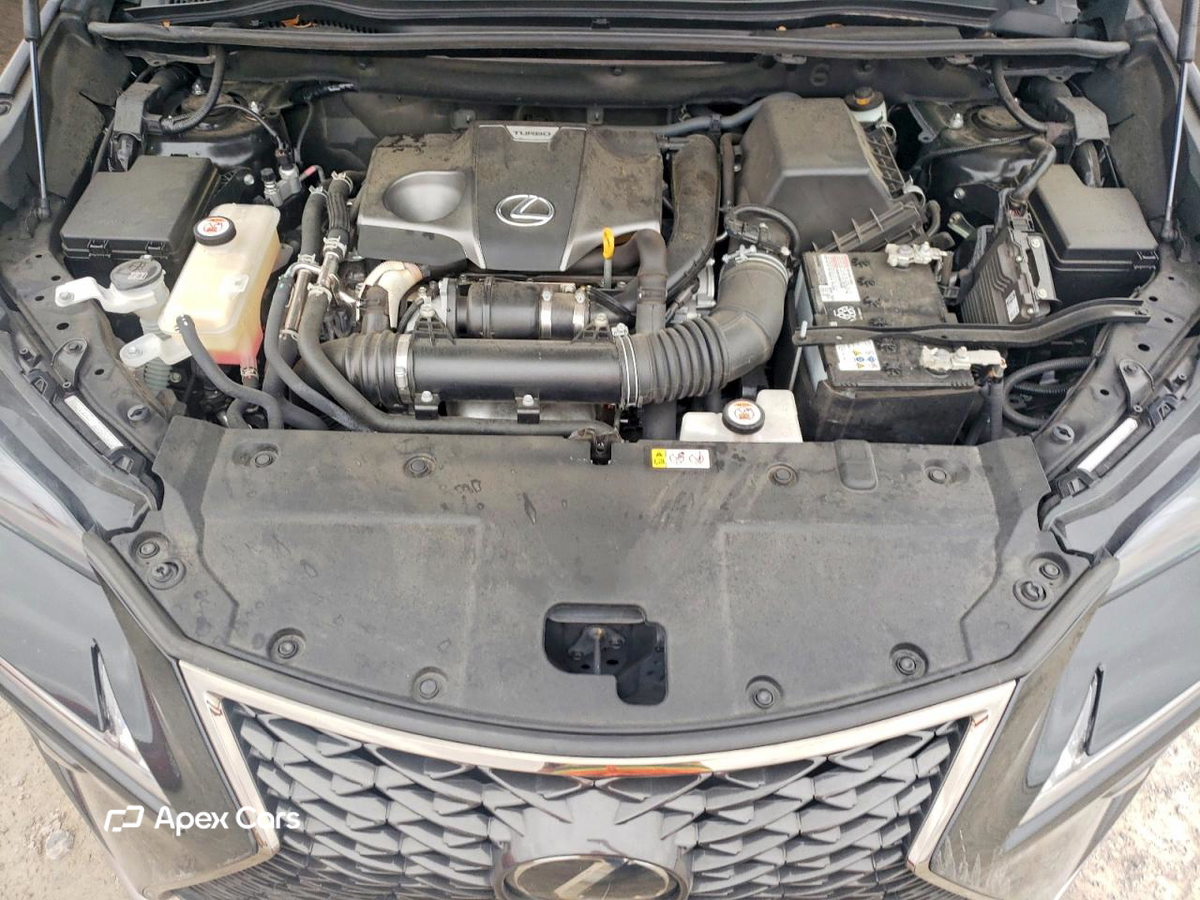 Lexus NX 2021
