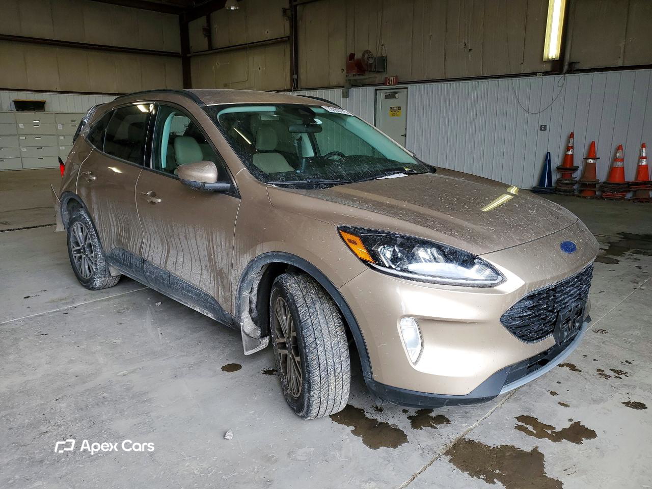 Ford Escape 2021