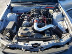 Ford Mustang 2007