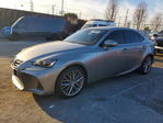 Lexus IS 2018