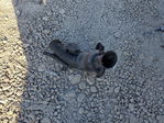 Dodge Caravan 2010