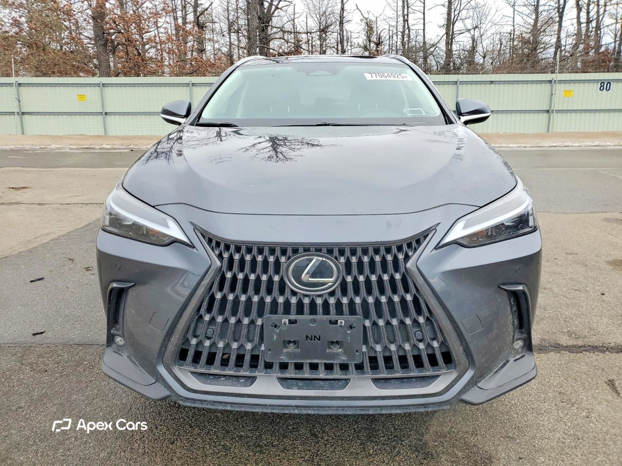 Lexus NX 2024