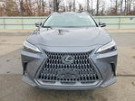 Lexus NX 2024