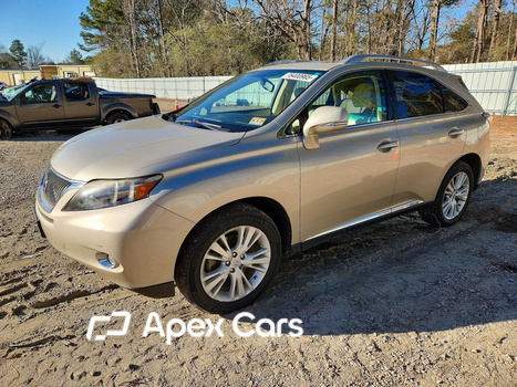 Lexus RX 2011 - Image 1 of 13