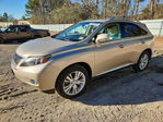 Lexus RX 2011