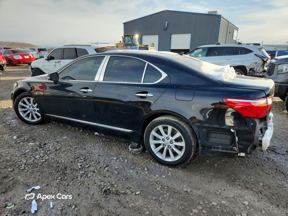 Lexus LS 2011