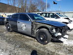 Dodge Charger 2021