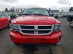 Dodge Dakota 2011