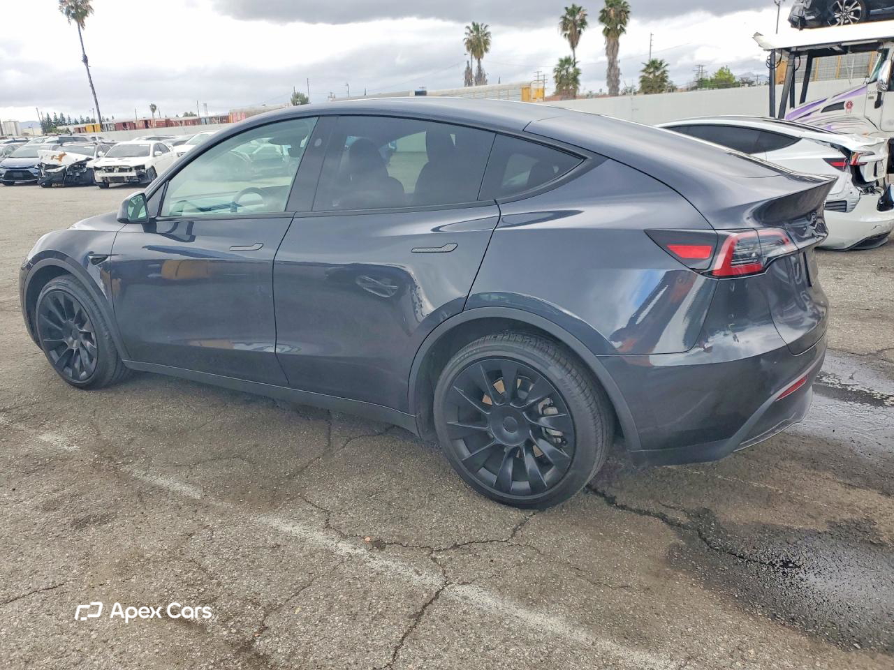 Tesla Model Y 2024