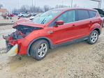 Ford Escape 2014