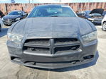 Dodge Charger 2014