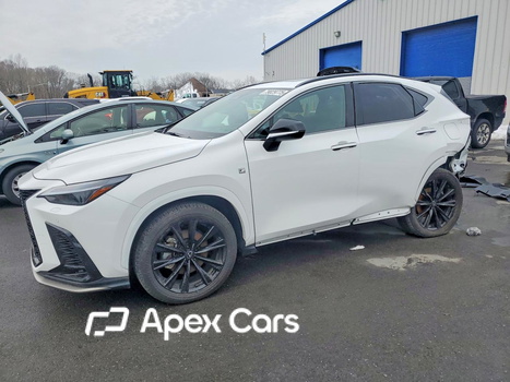 Lexus NX 2025 - Zdjęcie 1 z 15