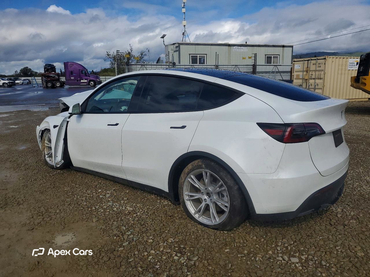 Tesla Model Y 2024