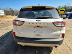 Ford Escape 2020