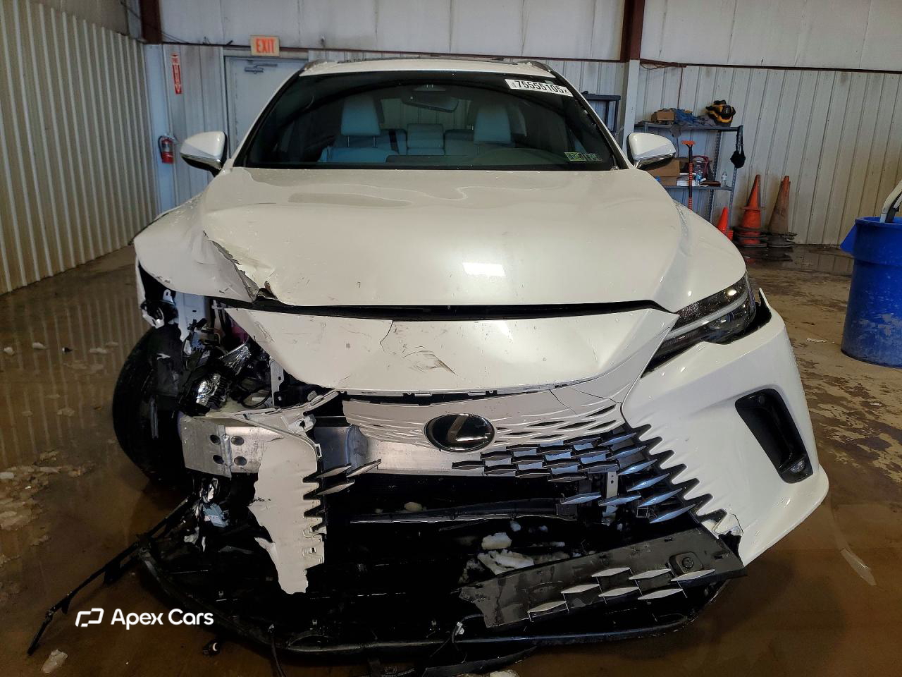 Lexus RX 2024