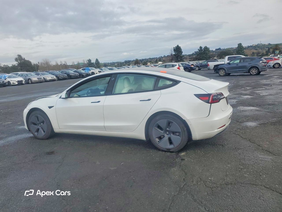 Tesla Model 3 2021