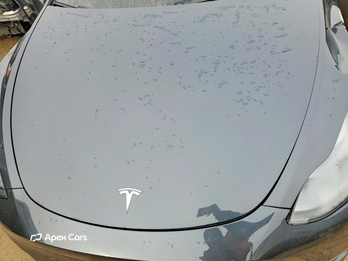 Tesla Model Y 2025