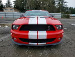 Ford Mustang 2007