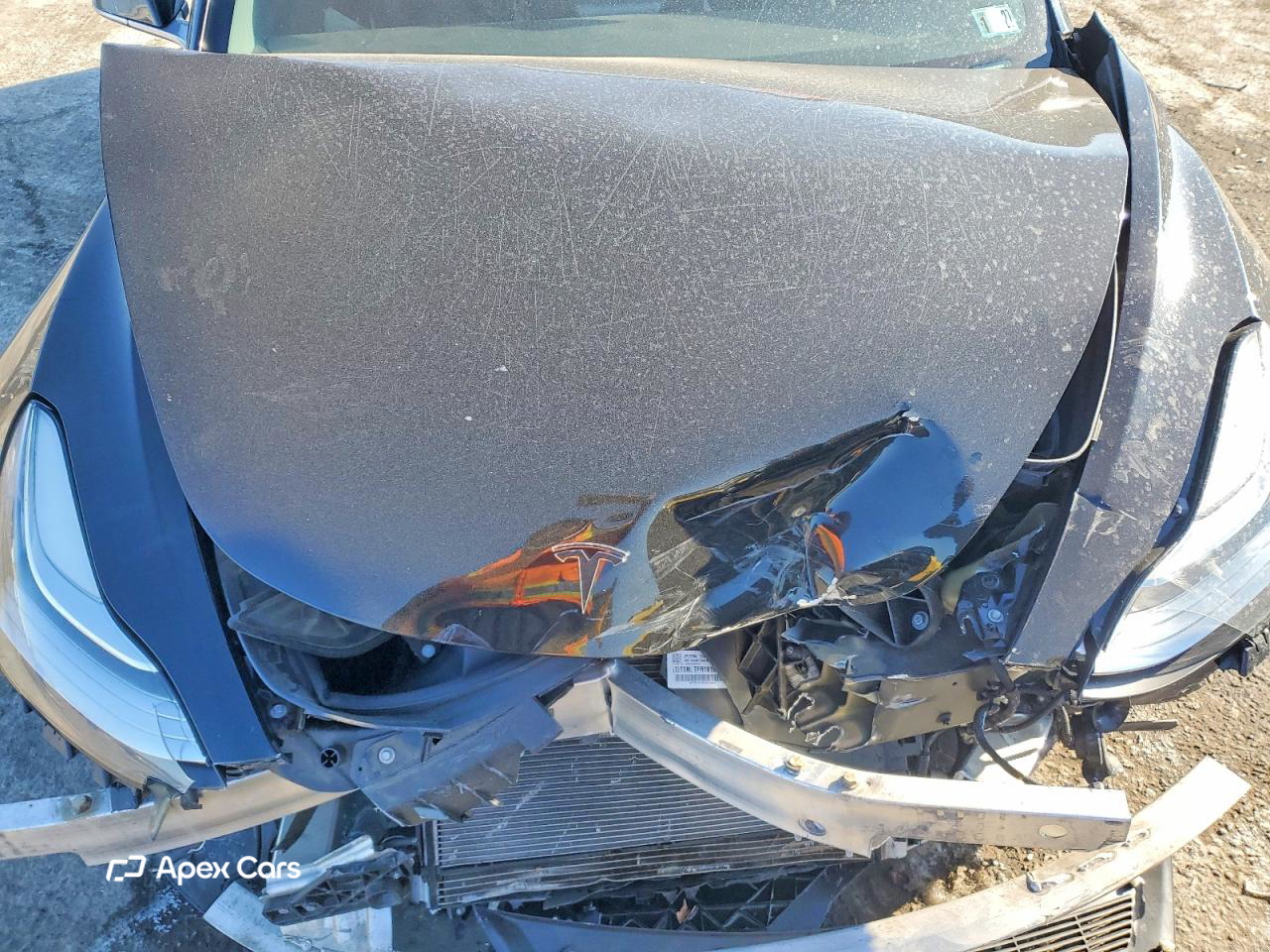 Tesla Model 3 2019