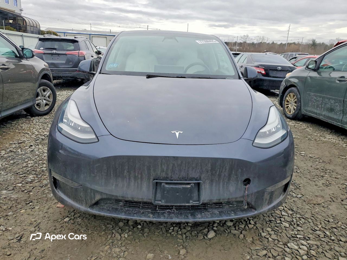 Tesla Model Y 2020