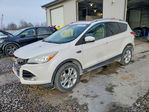 Ford Escape 2016
