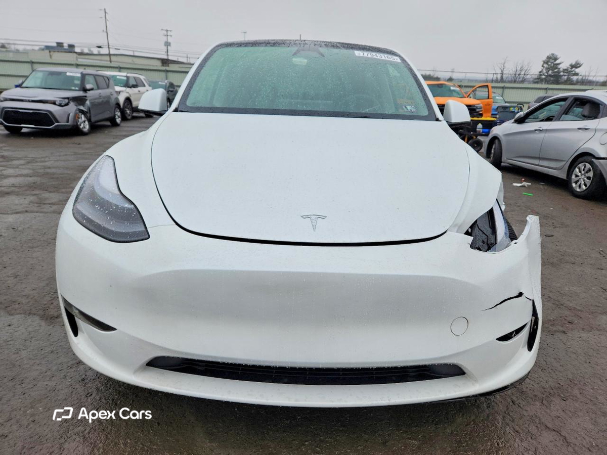 Tesla Model Y 2025