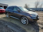Lexus RX 2010