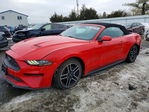 Ford Mustang 2021