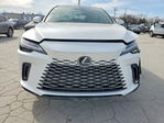 Lexus RX 2025