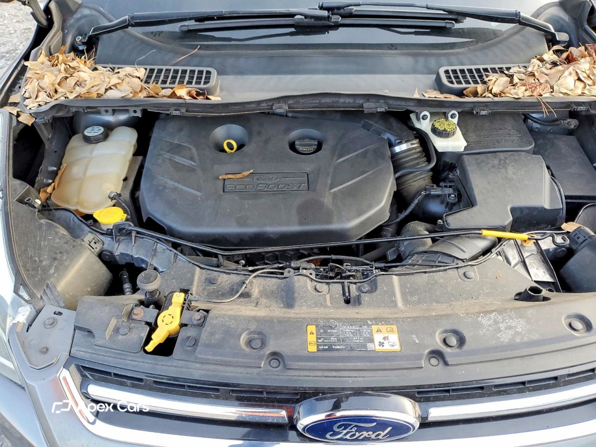 Ford Escape 2013