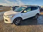 Ford Escape 2013