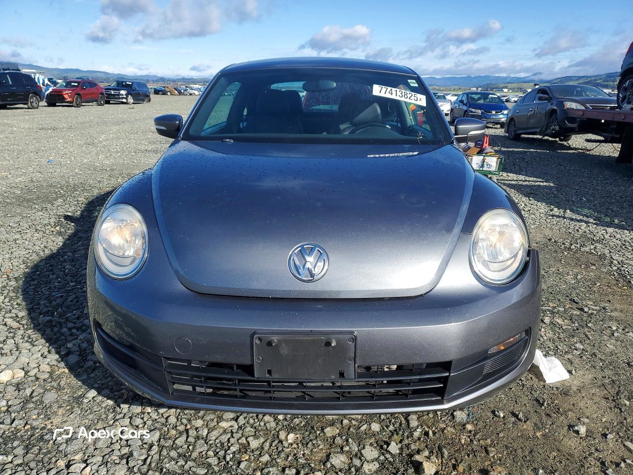 Volkswagen Beetle 2014