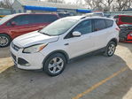 Ford Escape 2013