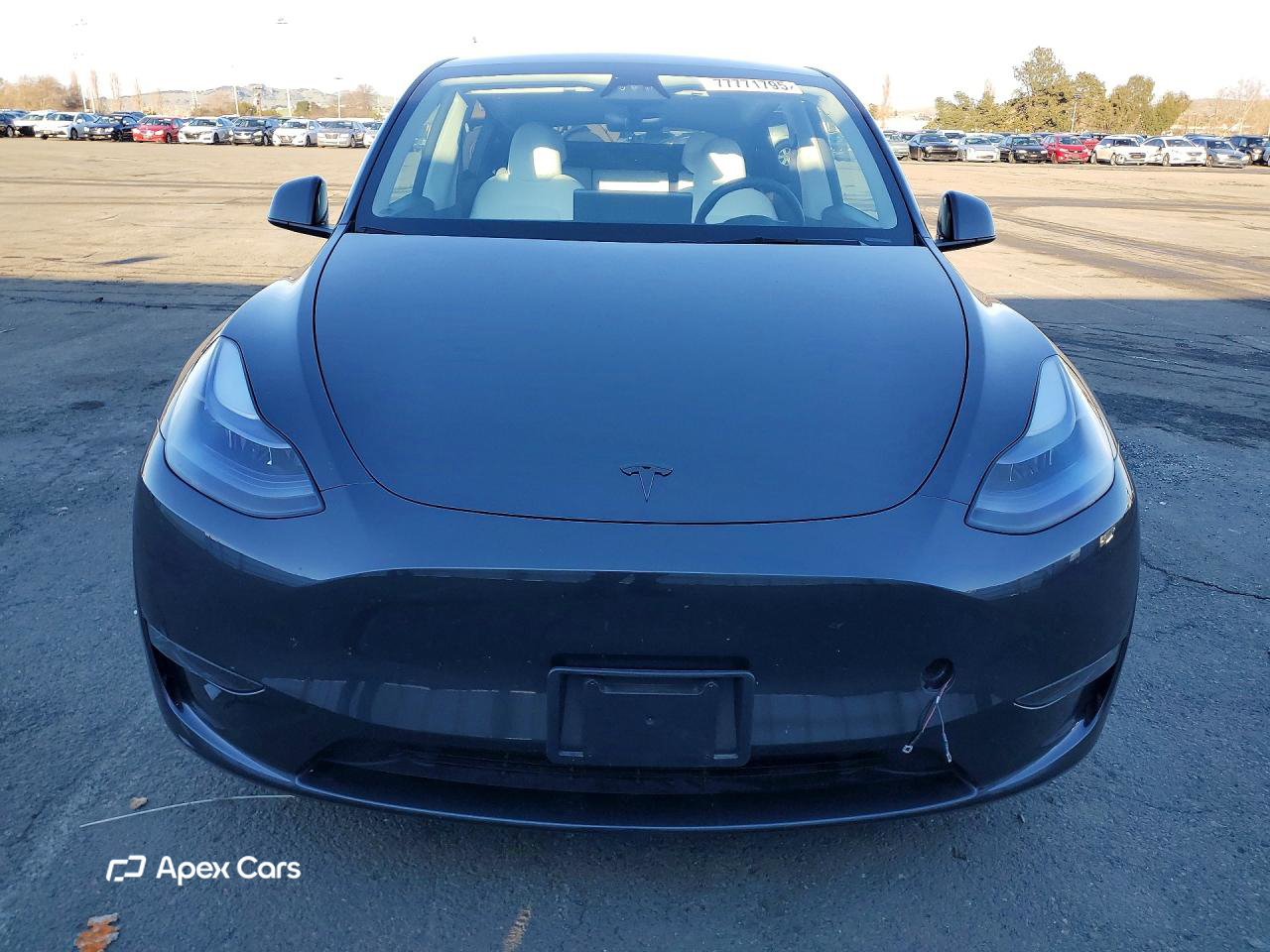 Tesla Model Y 2024